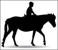 Boy riding horse
